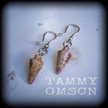 Load image into Gallery viewer, Jasper earrings Gemstone earrings Picture Jasper Stone earrings Pierced ears Stretched lobes French hooks Kidney hooks Leverback hooks 0g 2g