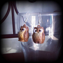 Load image into Gallery viewer, Owl earrings, Bird earrings, Animal earrings, Kawaii Earrings, Cute earrings, Dangle earrings, For pierced ears, Plug earrings, Tunnels