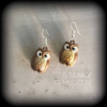 Load image into Gallery viewer, Owl earrings, Bird earrings, Animal earrings, Kawaii Earrings, Cute earrings, Dangle earrings, For pierced ears, Plug earrings, Tunnels
