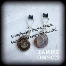 Load image into Gallery viewer, Ammonite earrings Nautilus earrings Fossil earrings Sacred Geometry Fibonacci Dangle earrings Tunnel earrings Science earrings Plug earrings
