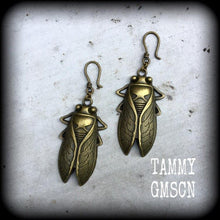 Load image into Gallery viewer, Insect earrings Locust Earrings Tunnel earrings Cicada earrings Plague Animal earrings Gauged earrings Plug earrings Pierced ears 2g 4g 6g