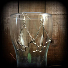 Load image into Gallery viewer, Dopamine earrings Science earrings Molecule earrings Science jewelry Chemistry earrings Nerd gifts Geek gifts Plug earrings Gauged earrings