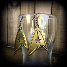 Load image into Gallery viewer, Star Trek earrings Science Fiction earrings Star Fleet earrings Trekker earrings Star Trek Insignia Plug earrings For pierced ears Gauges