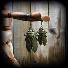 Load image into Gallery viewer, Insect earrings Locust Earrings Tunnel earrings Cicada earrings Plague Animal earrings Gauged earrings Plug earrings Pierced ears 2g 4g 6g