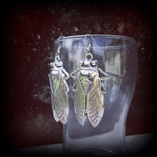 Load image into Gallery viewer, Insect earrings, Locust Earrings, Tunnel earrings, Cicada earrings, Plague, Animal, Biblical, Apocalypse, Gauged earrings, Plug earrings
