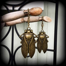 Load image into Gallery viewer, 8mm Ear weights 0 gauge Bronze ear hangers Locust Tunnel earrings for stretched lobes Stretched ears Plug danlges Gauged earrings 00g 0g 2g