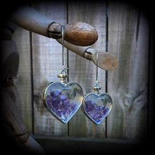 Load image into Gallery viewer, Amethyst earrings Heart earrings Valentines Gemstone Crystal Pierced ears Gauged earrings Plug earrings Dangly plugs Ear hangers Ear weights