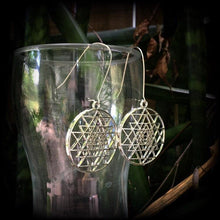 Load image into Gallery viewer, Sri Yantra Earrings Geometric Plug earrings Sri Chakra Tunnel earrings Hindu tantra Ohm Esoteric Yoga earrings Pierced ears Buddha 2g 4g 6g