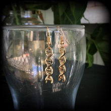 Load image into Gallery viewer, DNA earrings Science earrings Nurse earrings Molecule earrings Genetics gift Nerd gift Geek gift DNA strand DNA helix Biology earrings gift