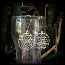 Load image into Gallery viewer, Sri Yantra Earrings Geometric Plug earrings Sri Chakra Tunnel earrings Hindu tantra Ohm Esoteric Yoga earrings Pierced ears Buddha 2g 4g 6g