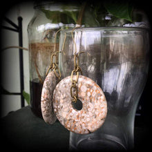 Load image into Gallery viewer, Coral earrings, Agatized coral, Fossil earrings, Tunnel earrings, Coral jewelry, Fossil jewelry, Prehistoric earrings, For pierced ears