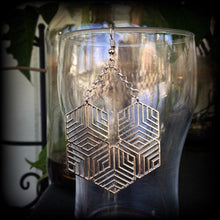 Load image into Gallery viewer, Hexagon earrings Tunnel earrings Sacred Geometry Geometric earrings Hexagon jewelry Ear hangers Tunnel dangles Gauged earrings for stretched