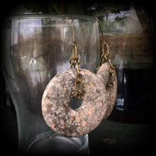 Load image into Gallery viewer, Coral earrings, Agatized coral, Fossil earrings, Tunnel earrings, Coral jewelry, Fossil jewelry, Prehistoric earrings, For pierced ears