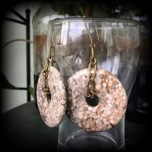 Load image into Gallery viewer, Coral earrings, Agatized coral, Fossil earrings, Tunnel earrings, Coral jewelry, Fossil jewelry, Prehistoric earrings, For pierced ears