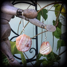 Load image into Gallery viewer, Lace agate earrings Gemstone earrings Agate ear hangers Tunnel earrings Tunnel dangles Crystal earrings Pierced Ears Plug earrings Gauges