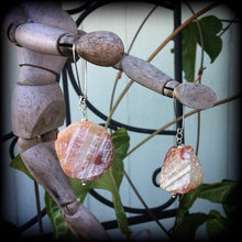Load image into Gallery viewer, Lace agate earrings Gemstone earrings Agate ear hangers Tunnel earrings Tunnel dangles Crystal earrings Pierced Ears Plug earrings Gauges