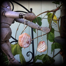 Load image into Gallery viewer, Lace agate earrings Gemstone earrings Agate ear hangers Tunnel earrings Tunnel dangles Crystal earrings Pierced Ears Plug earrings Gauges