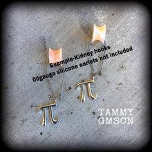 Load image into Gallery viewer, Pi earrings, Physics, Geek earrings, Plug earrings, Science earrings, Tunnel earrings, Science jewelry, Gifts for nerds, Chemistry earrings