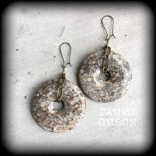 Load image into Gallery viewer, Coral earrings, Agatized coral, Fossil earrings, Tunnel earrings, Coral jewelry, Fossil jewelry, Prehistoric earrings, For pierced ears