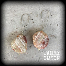 Load image into Gallery viewer, Lace agate earrings Gemstone earrings Agate ear hangers Tunnel earrings Tunnel dangles Crystal earrings Pierced Ears Plug earrings Gauges