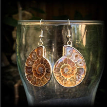 Load image into Gallery viewer, Ammonite earrings Nautilus earrings Fossil earrings Sacred Geometry Fibonacci Dangle earrings Tunnel earrings Science earrings Plug earrings
