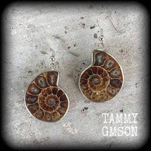 Load image into Gallery viewer, Ammonite earrings Nautilus earrings Fossil earrings Sacred Geometry Fibonacci Dangle earrings Tunnel earrings Science earrings Plug earrings