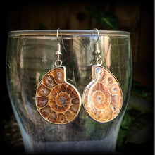 Load image into Gallery viewer, Ammonite earrings Nautilus earrings Fossil earrings Sacred Geometry Fibonacci Dangle earrings Tunnel earrings Science earrings Plug earrings