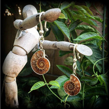 Load image into Gallery viewer, 00 gauge 0 gauge 2 gauge ear weights Ammonite 6mm ear hangers Fossil ear weights Plug earrings Gauged earrings Plug dangles Hanging gauges