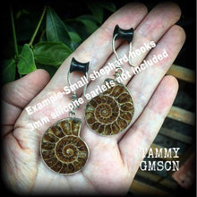 Load image into Gallery viewer, Ammonite earrings Fossil earrings Nautilus earrings Tunnel earrings Plug earrings Fibonacci earrings Sacred Geometry For pierced ears Gauges