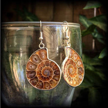 Load image into Gallery viewer, Ammonite earrings Nautilus earrings Fossil earrings Sacred Geometry Fibonacci Dangle earrings Tunnel earrings Science earrings Plug earrings