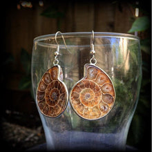 Load image into Gallery viewer, Ammonite earrings Nautilus earrings Fossil earrings Sacred Geometry Fibonacci Dangle earrings Tunnel earrings Science earrings Plug earrings
