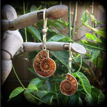 Load image into Gallery viewer, 00 gauge 0 gauge 2 gauge ear weights Ammonite 6mm ear hangers Fossil ear weights Plug earrings Gauged earrings Plug dangles Hanging gauges