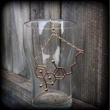 Load image into Gallery viewer, THC earrings Molecule earrings Science jewelry Weed jewelry Pot earrings Molecule jewelry Gifts for hippies Tunnel earrings Plug earrings